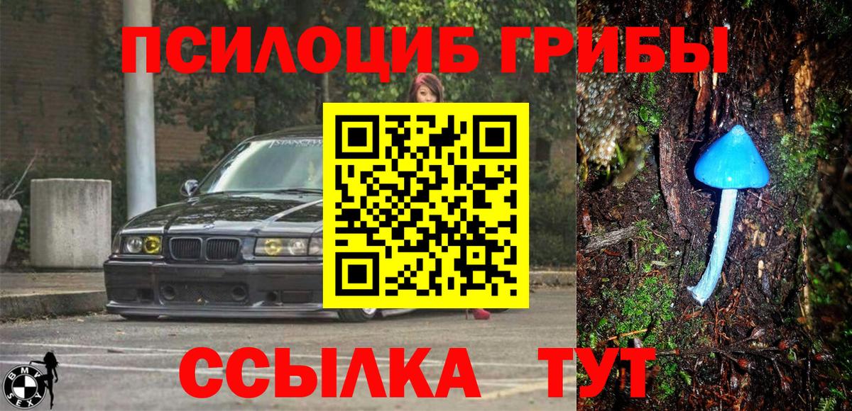 наркота  Псилоцибиновые грибы MAGIC MUSHROOMS  Вход с VPN  Галлюциногенные грибы GOLDEN TEACHER  Нерюнгри 